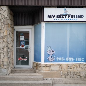 295:295?src=%2 Fimages%2 Fdirectory%2 Fcompanies%2 F22 Division St  My Best Friend 295 295 img