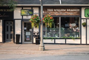 The Willow Branch