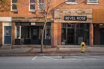 Revel Rose