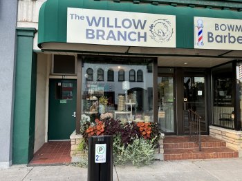 The Willow Branch